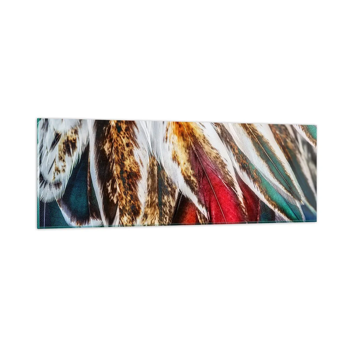 Billede på glas - Flyvningens hemmeligheder - 90x30 cm