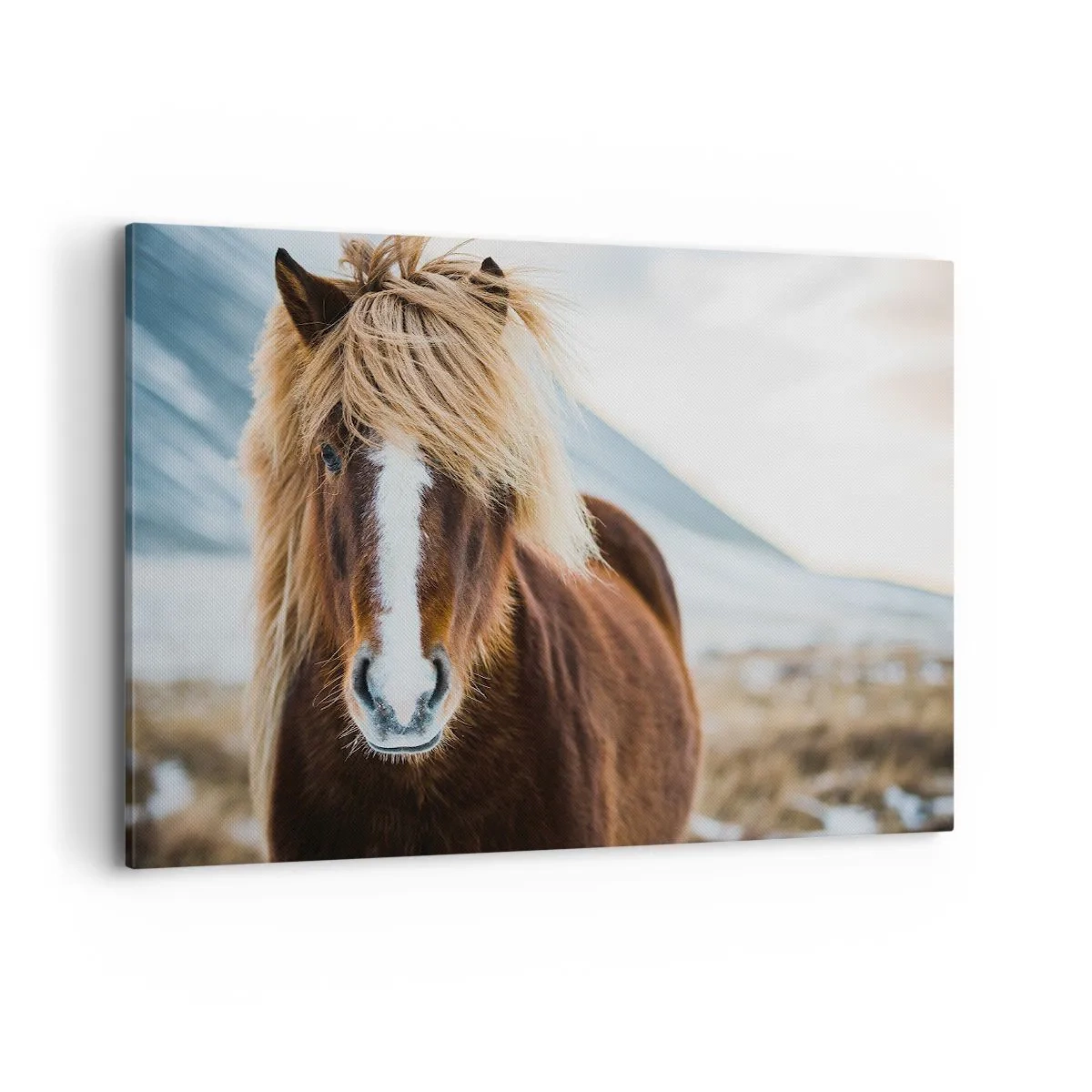 Lærredstryk - Billede på lærred - Kan du mærke friheden? - 120x80 cm