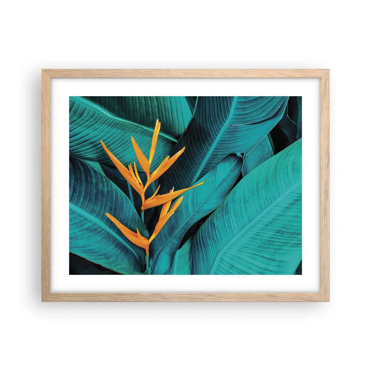 Plakat i ramme af lyst egetræ - Edens blomst - 50x40 cm