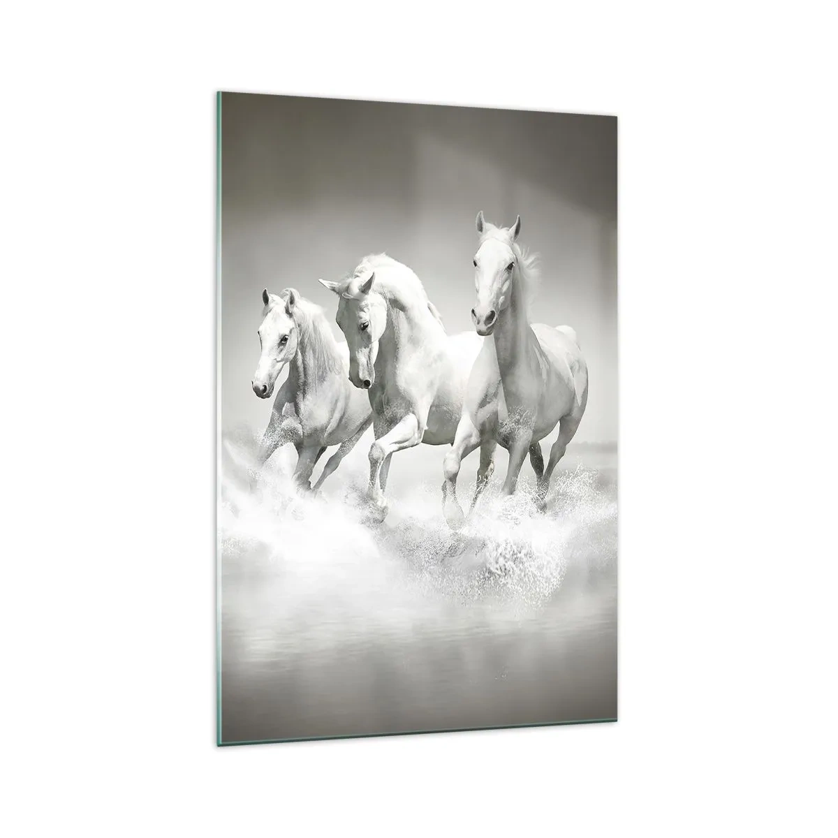 Billede på glas - Hvid galskab - 70x100 cm