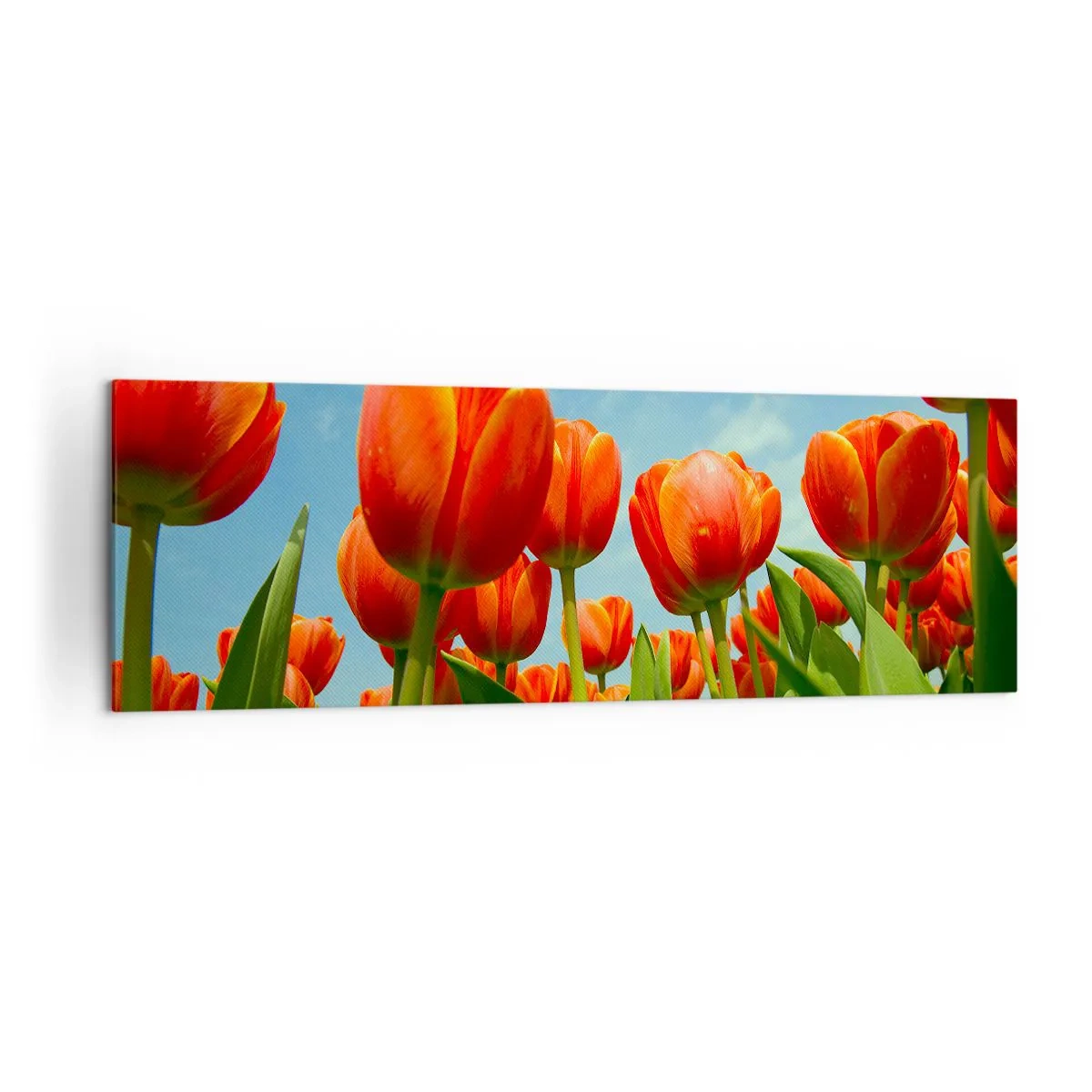 Lærredstryk - Billede på lærred - Bortset fra den blå himmel behøver de intet i livet - 160x50 cm