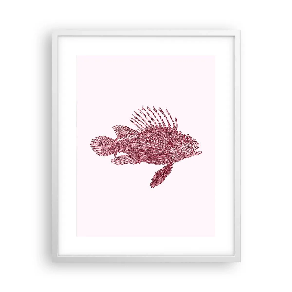 Plakat i hvid ramme - En beboer i eksotiske farvande - 40x50 cm