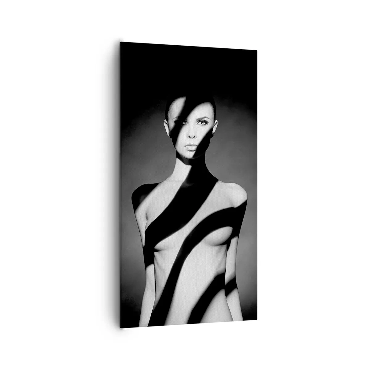 Lærredstryk - Billede på lærred - I blænding og skygge - 65x120 cm