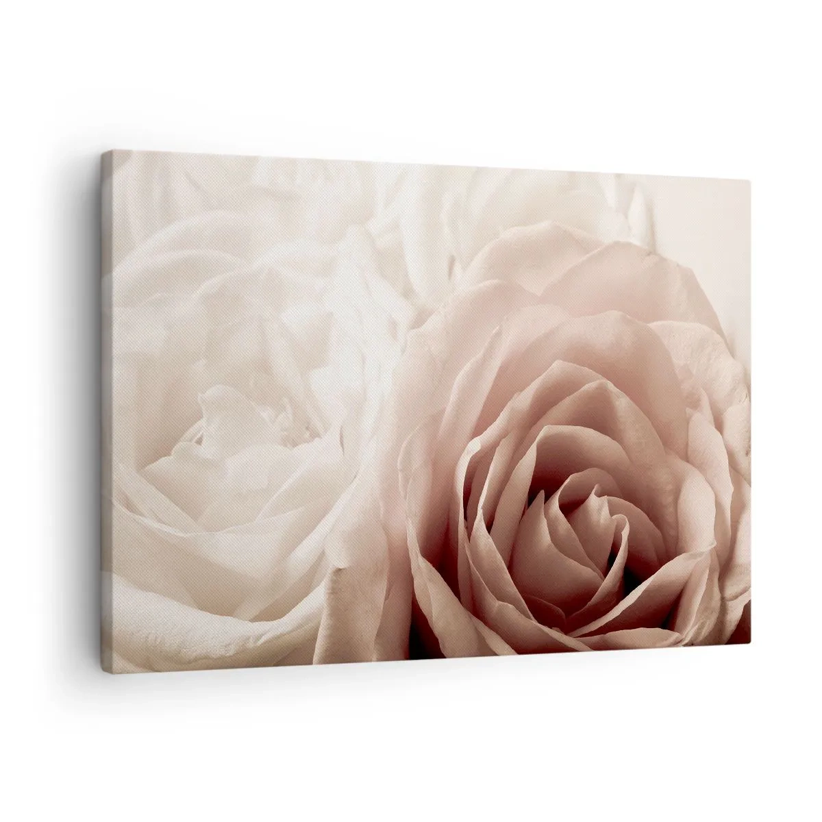 Lærredstryk - Billede på lærred - Delikate roser i pastelfarver af beige - 70x50cm - I rosens hjerte - Moderne vægdekoration til stue og soveværelse ARTTOR
