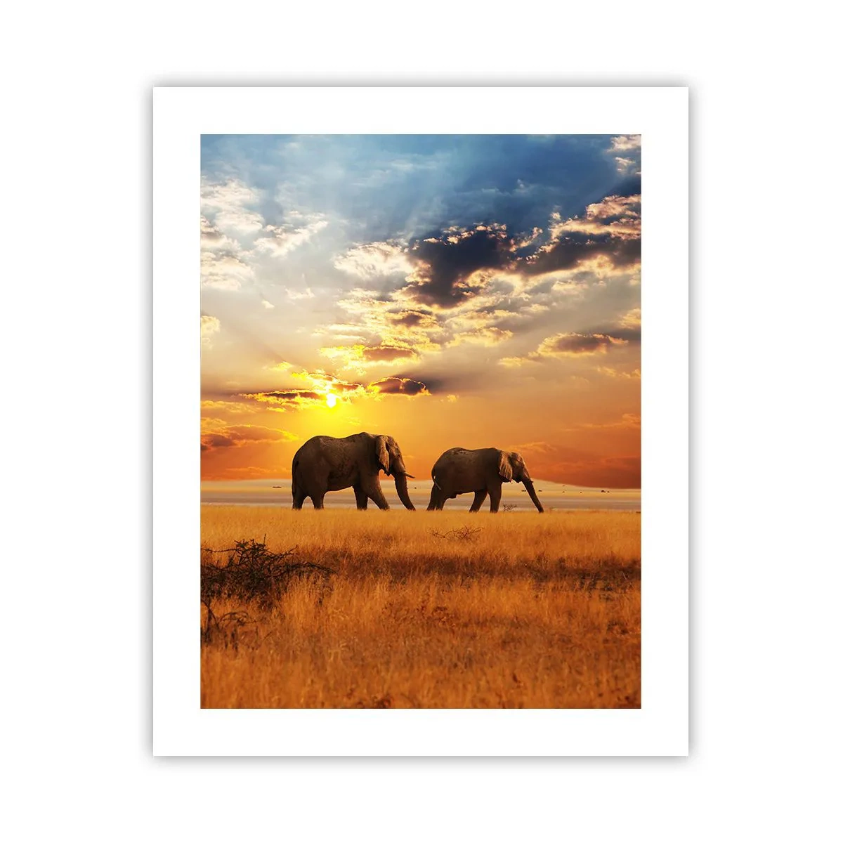 Plakat - Familievandring - 40x50 cm
