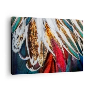 Lærredstryk - Billede på lærred - Nærbillede af flerfarvede fjer i levende, intense farver - 70x50cm - Flyvningens hemmeligheder - Moderne vægdekoration til stue og soveværelse ARTTOR