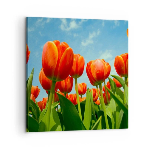 Lærredstryk - Billede på lærred - Bortset fra den blå himmel behøver de intet i livet - 60x60 cm