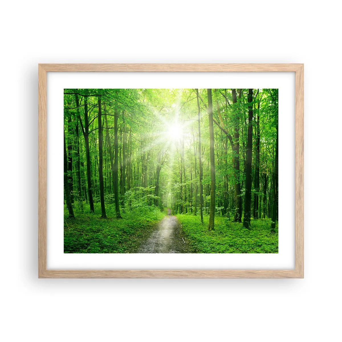 Plakat i ramme af lyst egetræ - Grøn katedral - 50x40 cm