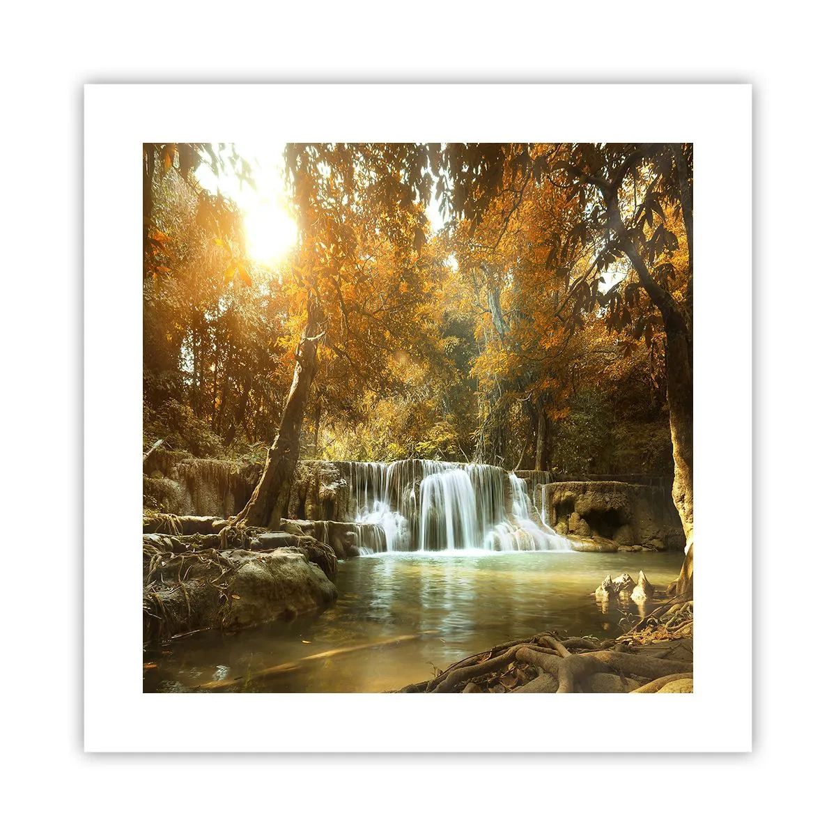 Plakat - Kaskade i parken - 40x40 cm