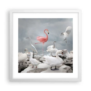 Plakat i hvid ramme - Hvor kommer jeg fra? - 40x40 cm