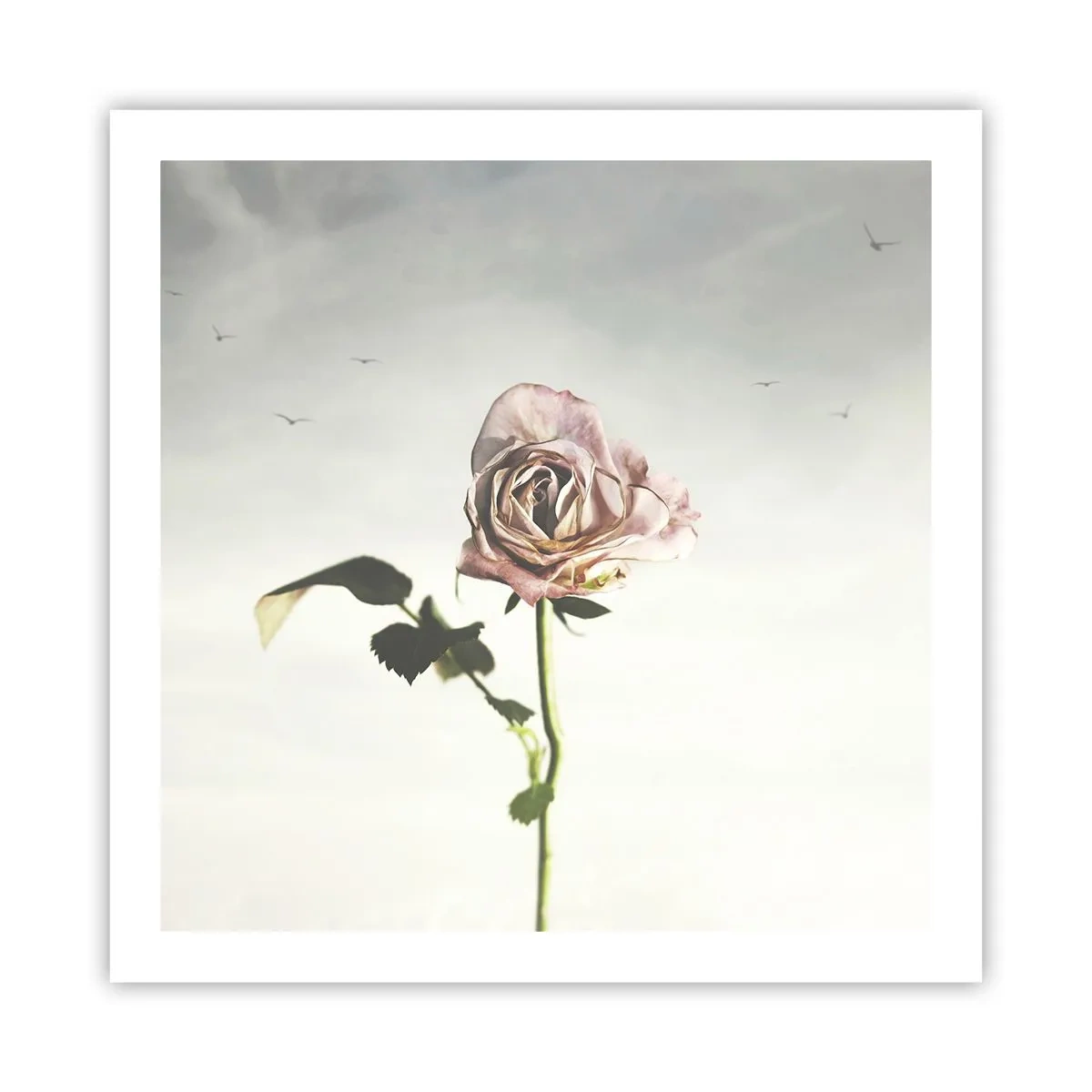 Plakat - Velkomst til foråret - 60x60 cm