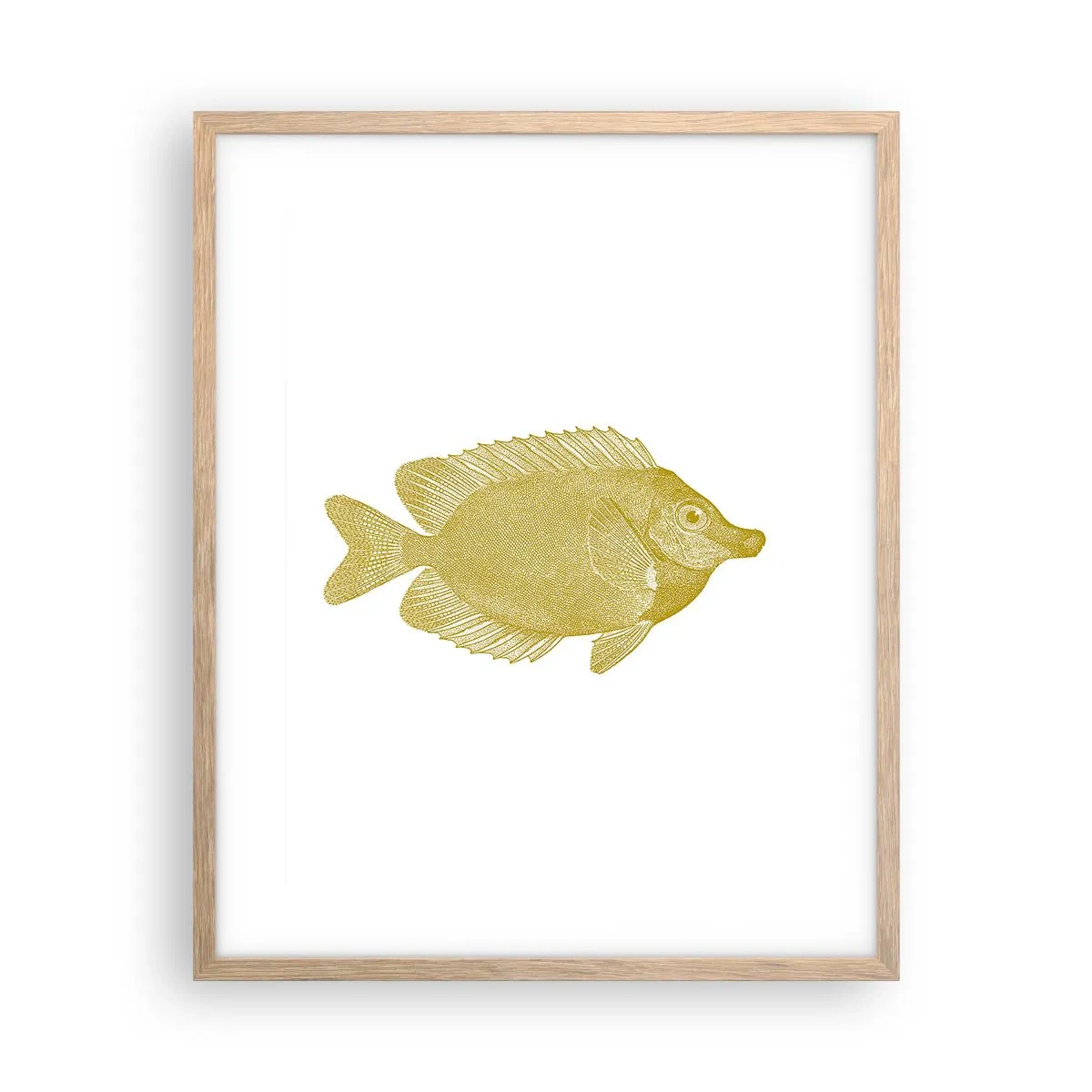 Plakat i ramme af lyst egetræ - Fisk og det er det - 40x50 cm