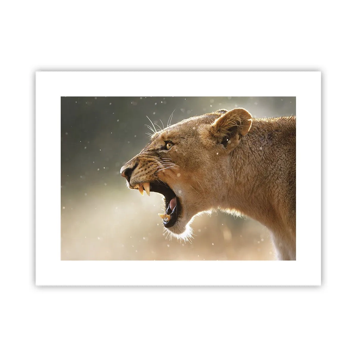 Plakat - Prøv ikke at lytte - 40x30 cm
