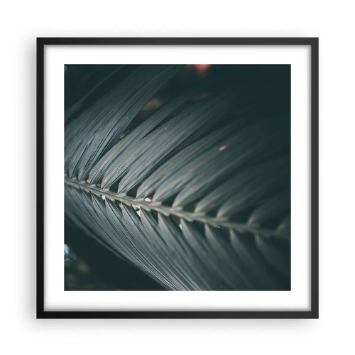 Plakat i sort ramme - Naturens præcision - 50x50 cm