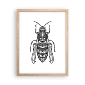 Plakat i ramme af lyst egetræ - Fra en insektplanet - 30x40 cm
