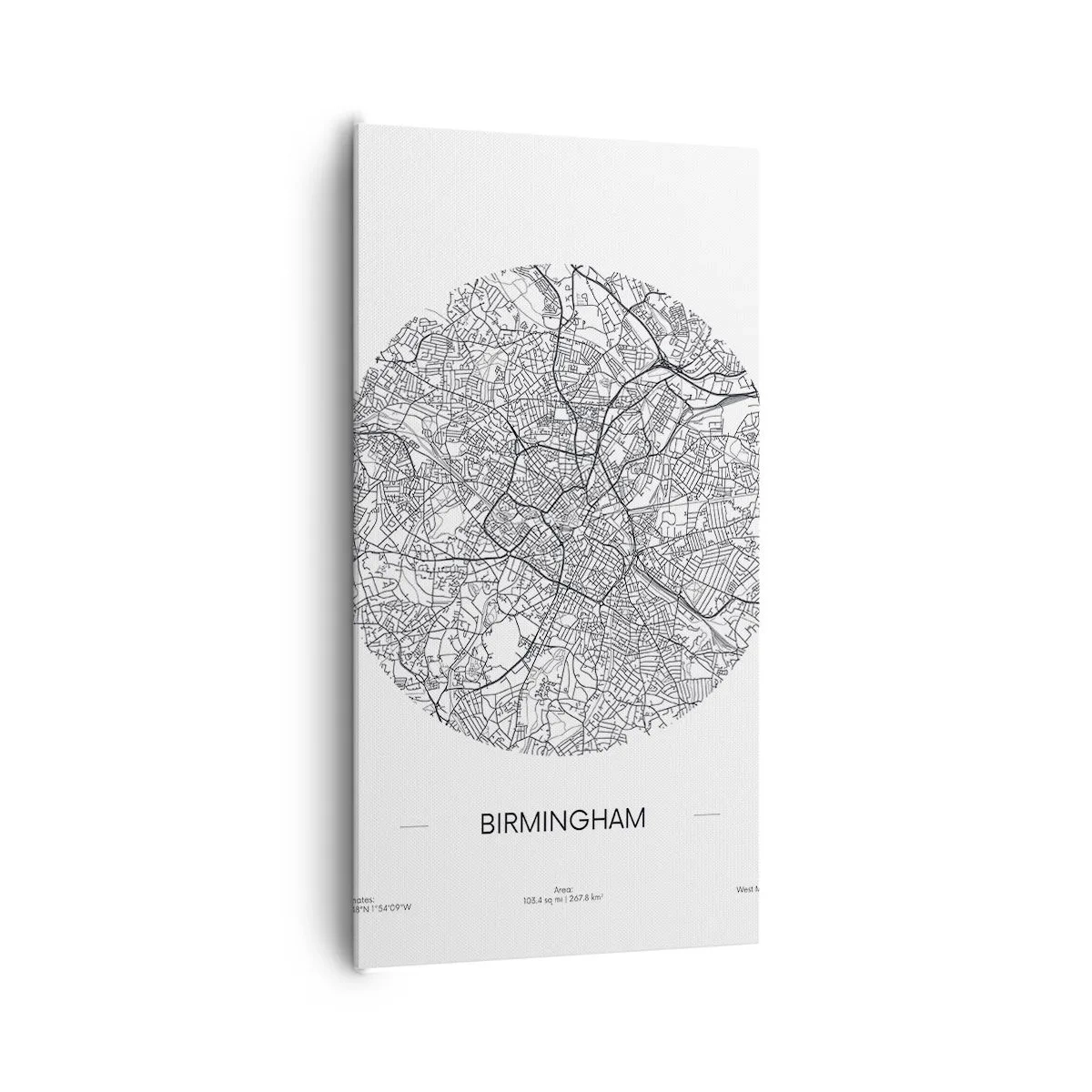 Lærredstryk - Billede på lærred - Birminghams anatomi - 65x120 cm