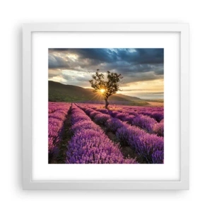 Plakat i hvid ramme - Lilla aroma - 30x30 cm