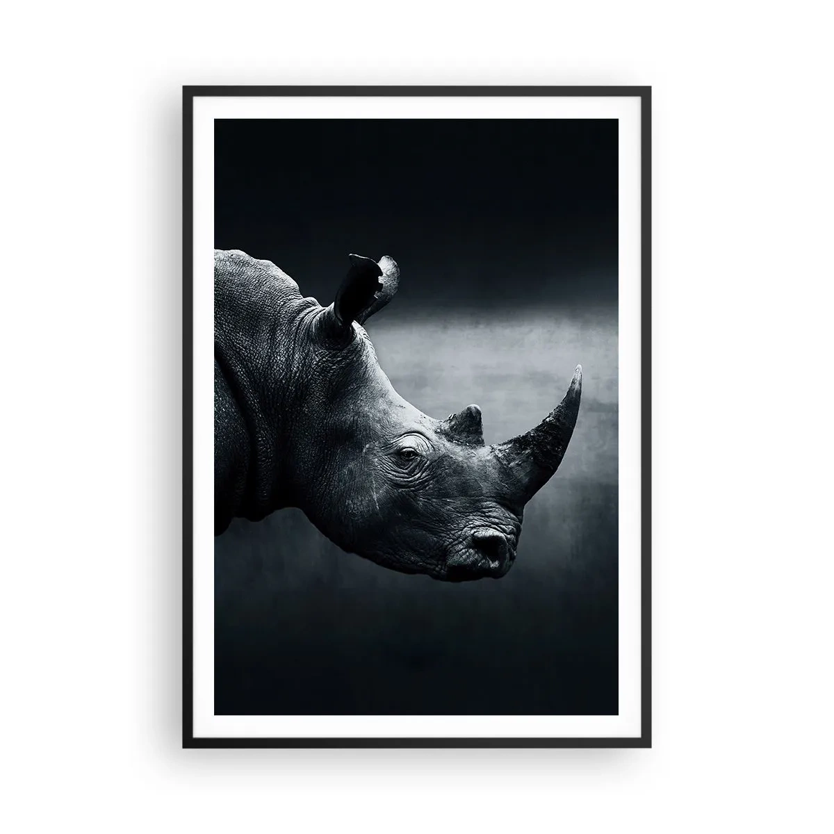 Plakat i sort ramme - Højre profil - 70x100 cm