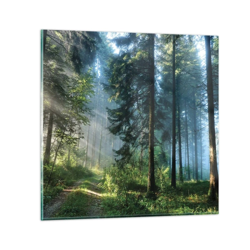 Billede på glas - Strålende om morgenen - 40x40 cm