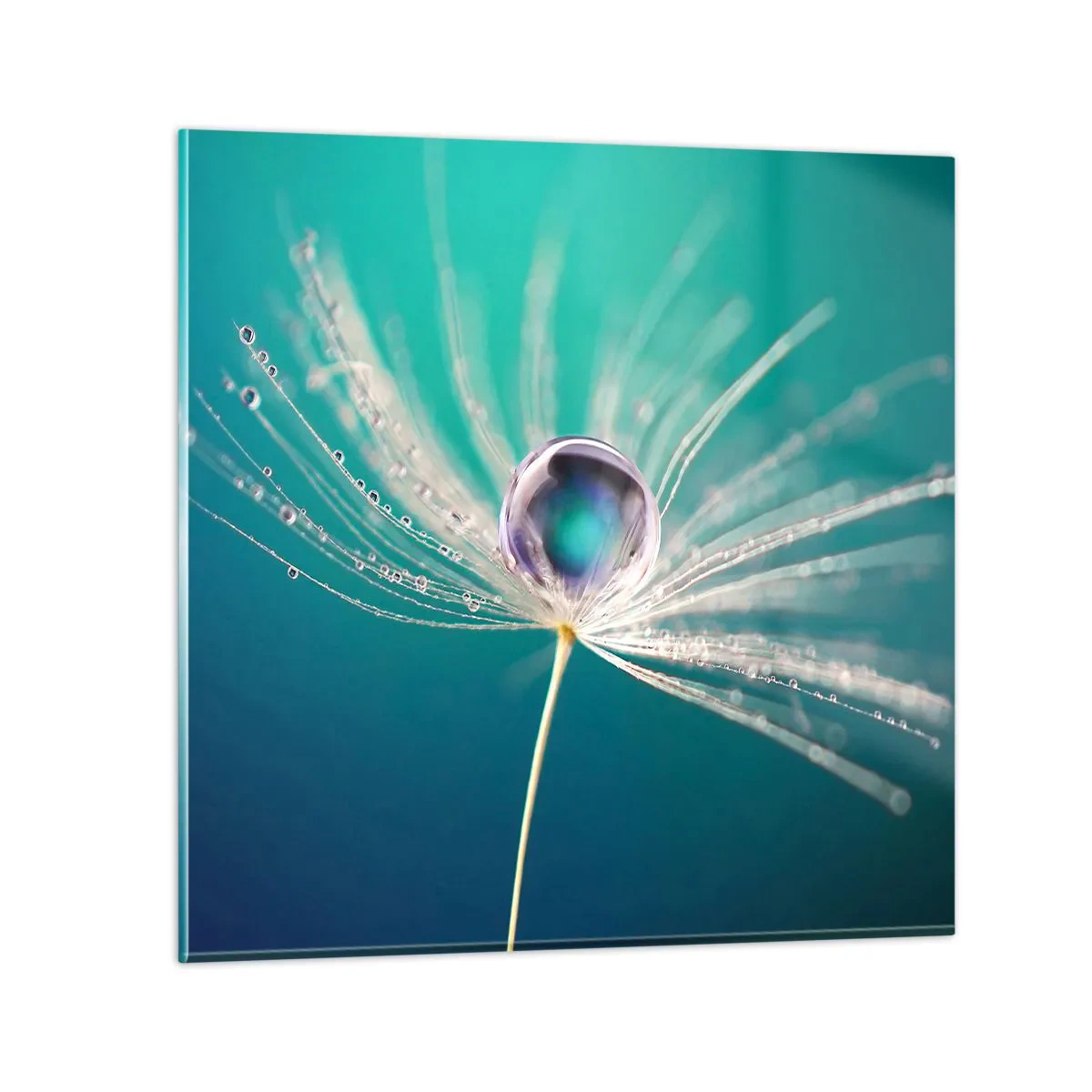 Billede på glas - Mystisk øjeblik - 40x40 cm