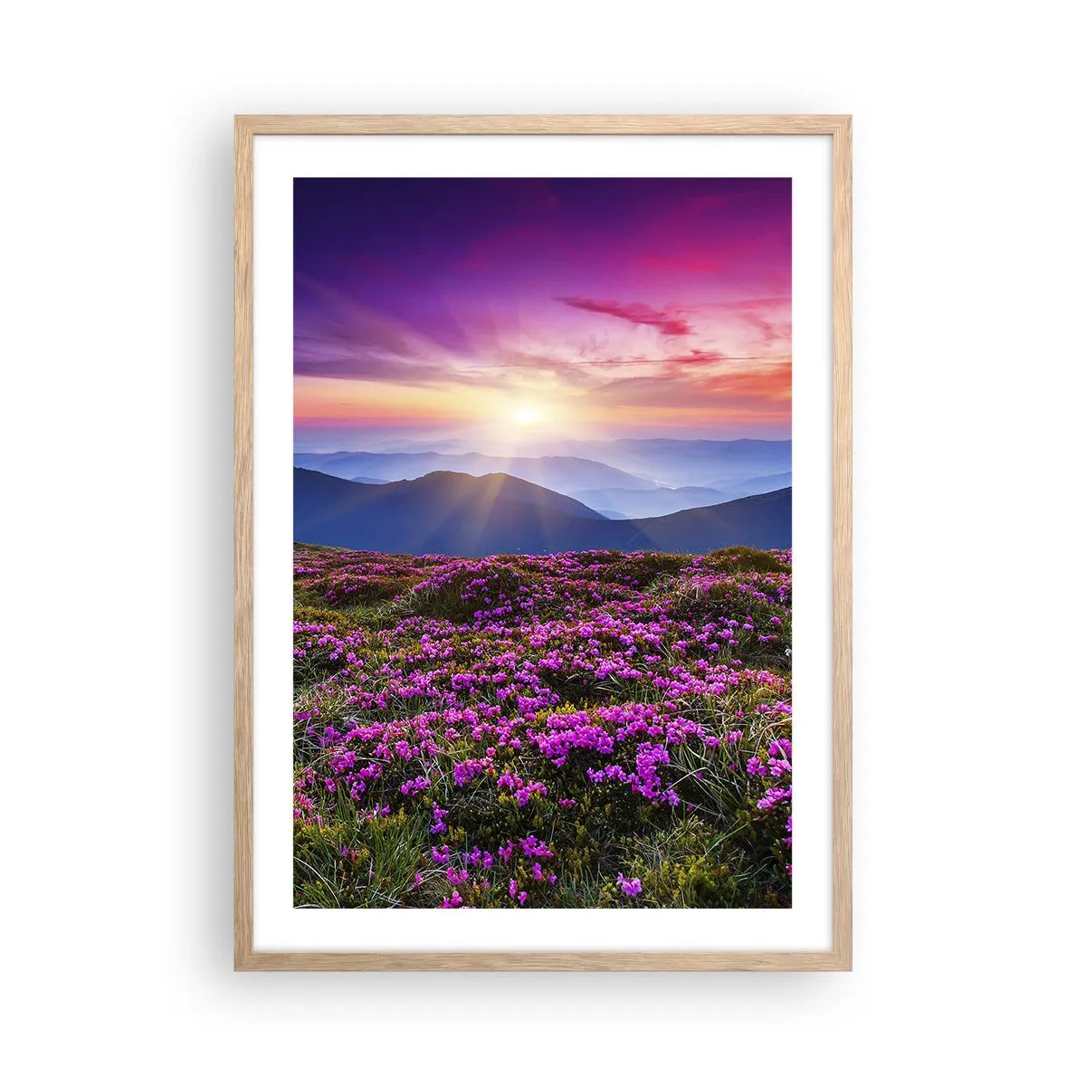 Plakat i ramme af lyst egetræ - Urter duftede friske bundter fra niw - 50x70 cm