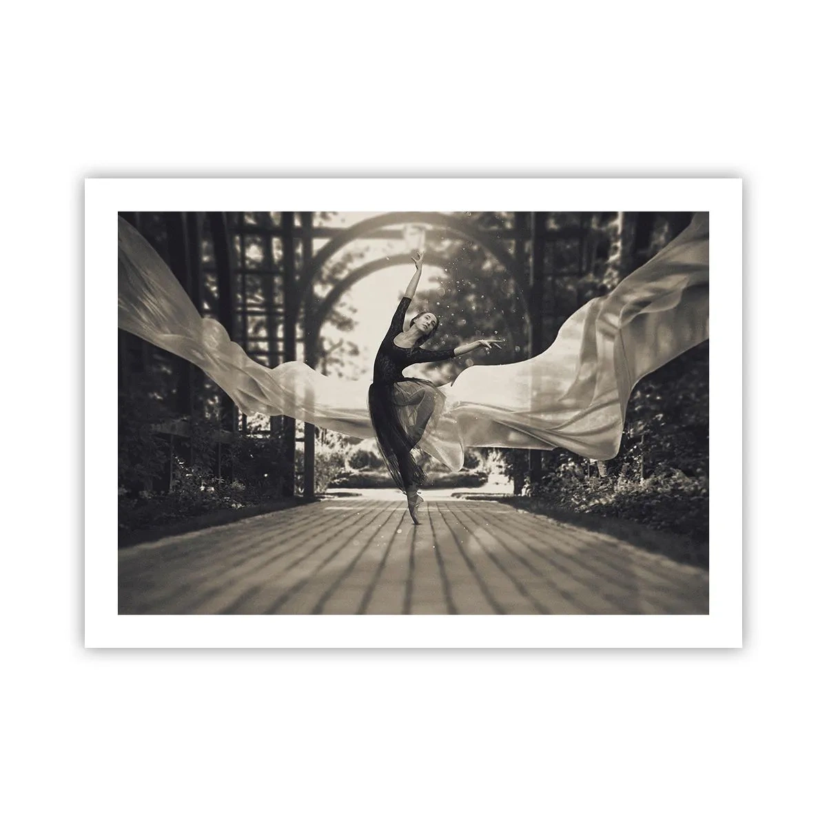Plakat - Dans i haven - 70x50 cm