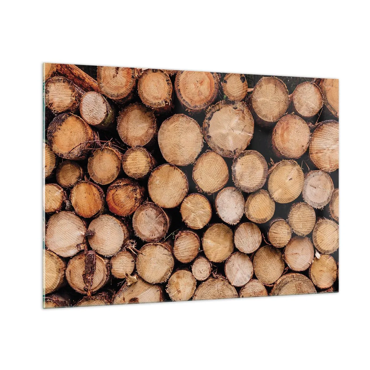 Billede på glas - En ny begyndelse - 100x70 cm