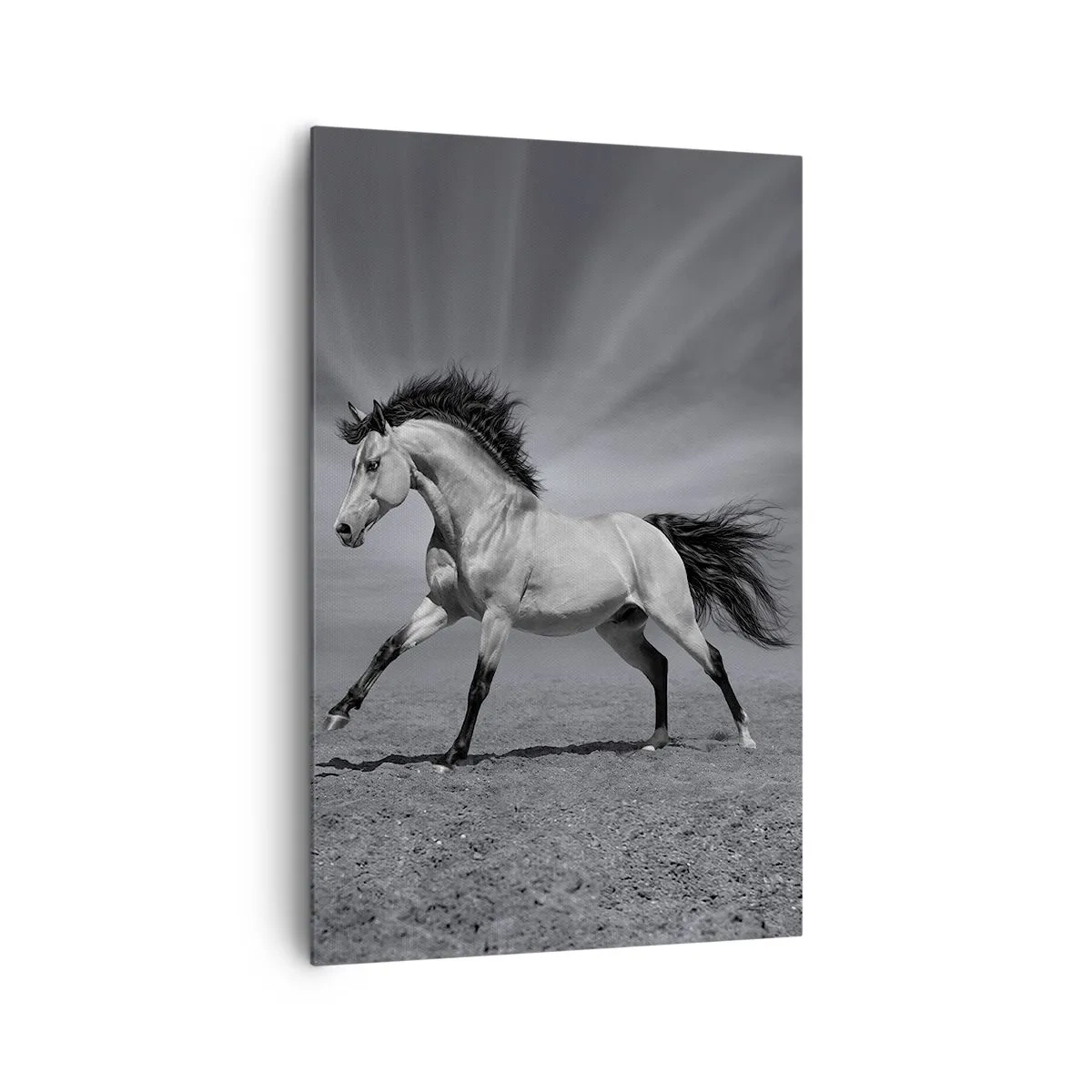 Lærredstryk - Billede på lærred - Født til glæde - 80x120 cm