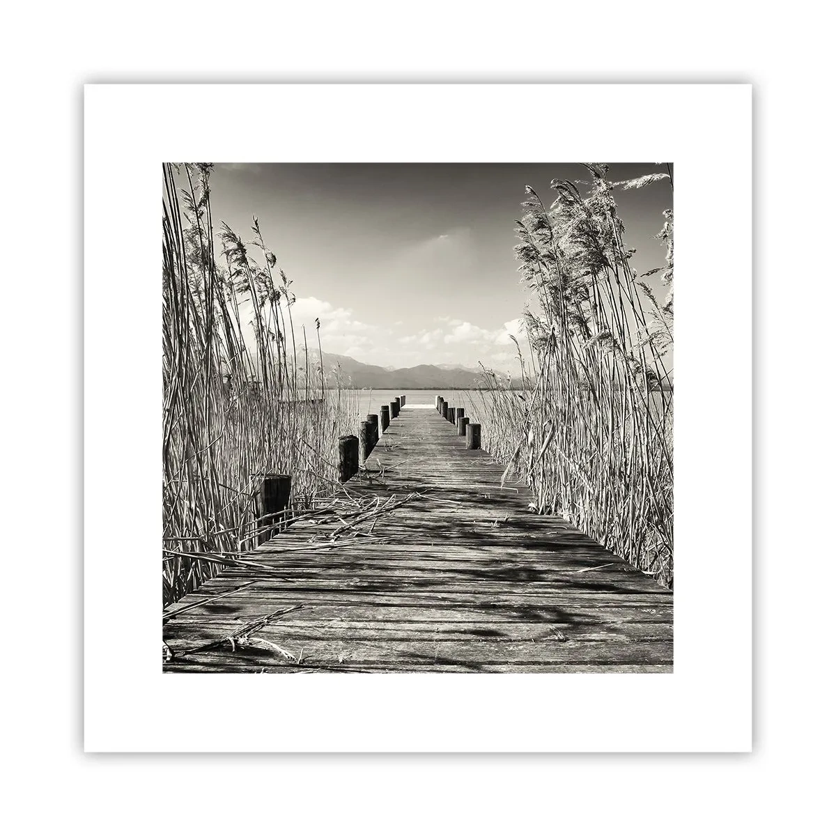 Plakat - I græssernes fred - 30x30 cm