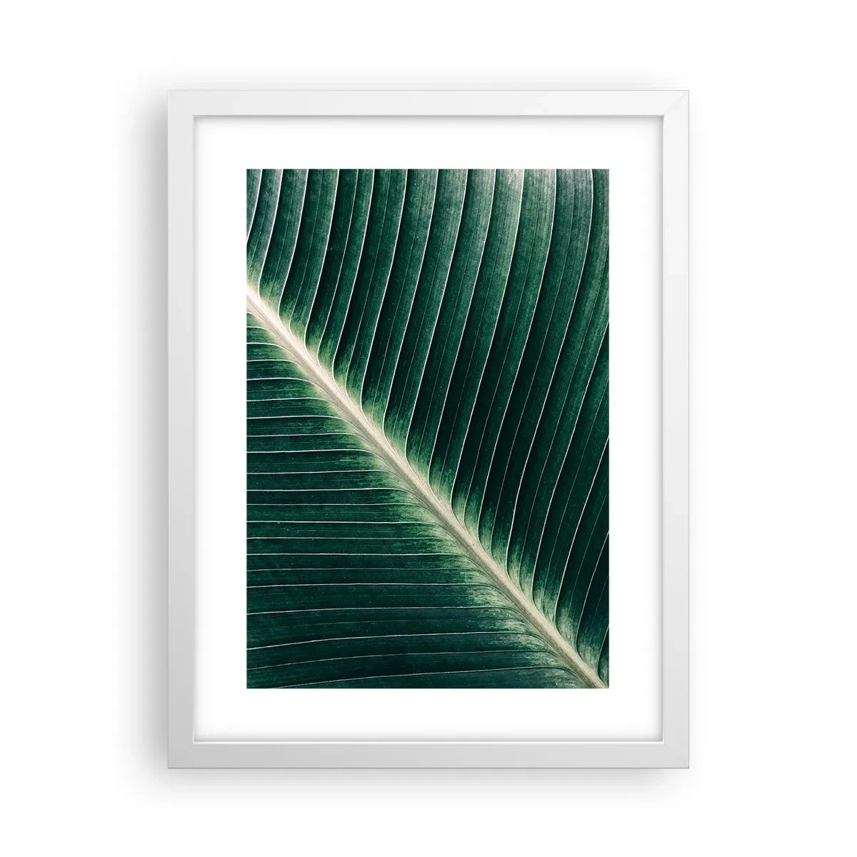 Plakat i hvid ramme - Naturens rytme - 30x40 cm