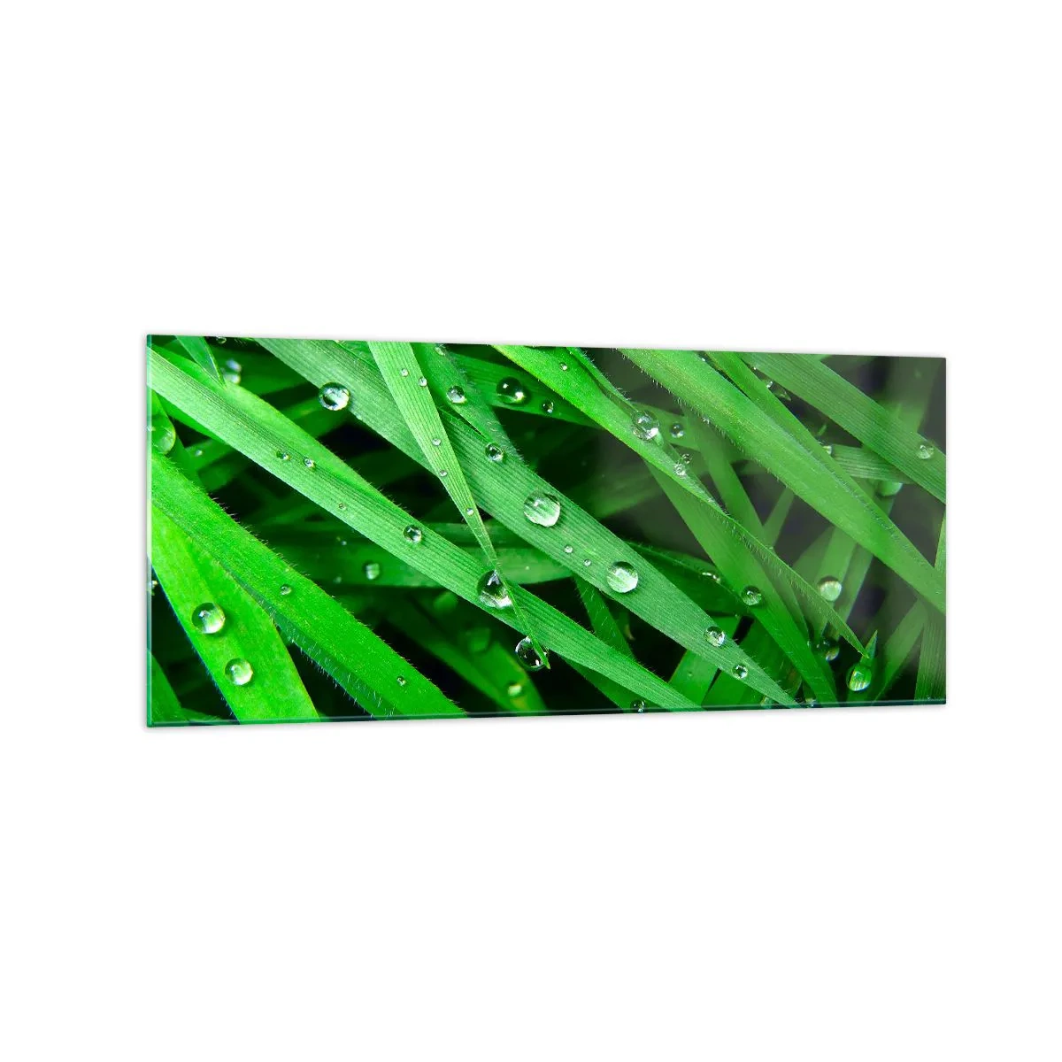Billede på glas - Spil grønt - 120x50 cm