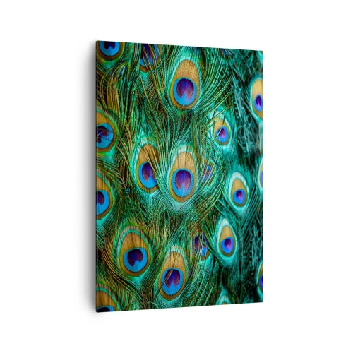 Lærredstryk - Billede på lærred - En påfugls blik - 70x100 cm
