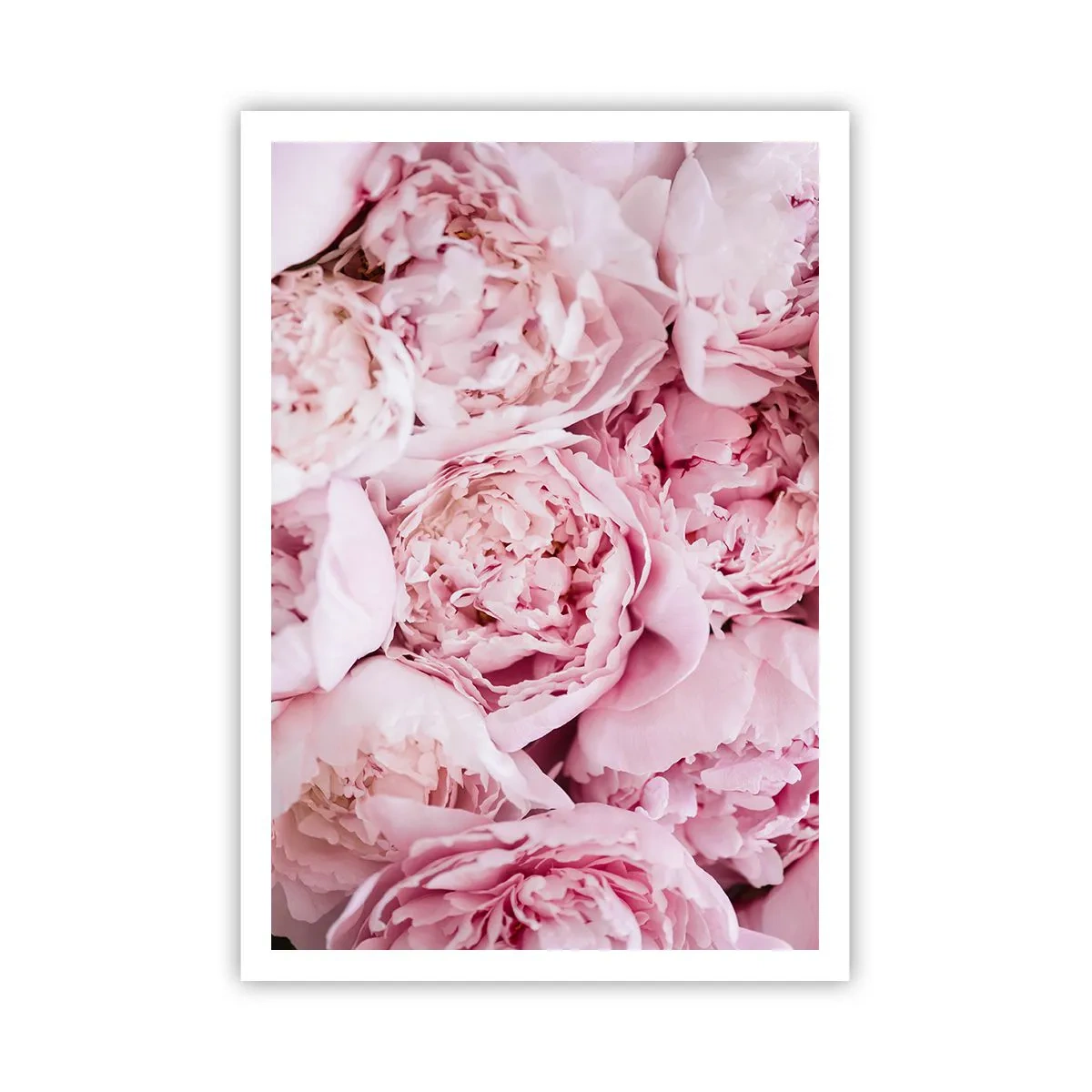 Plakat - Hyggeligt og velduftende - 70x100 cm