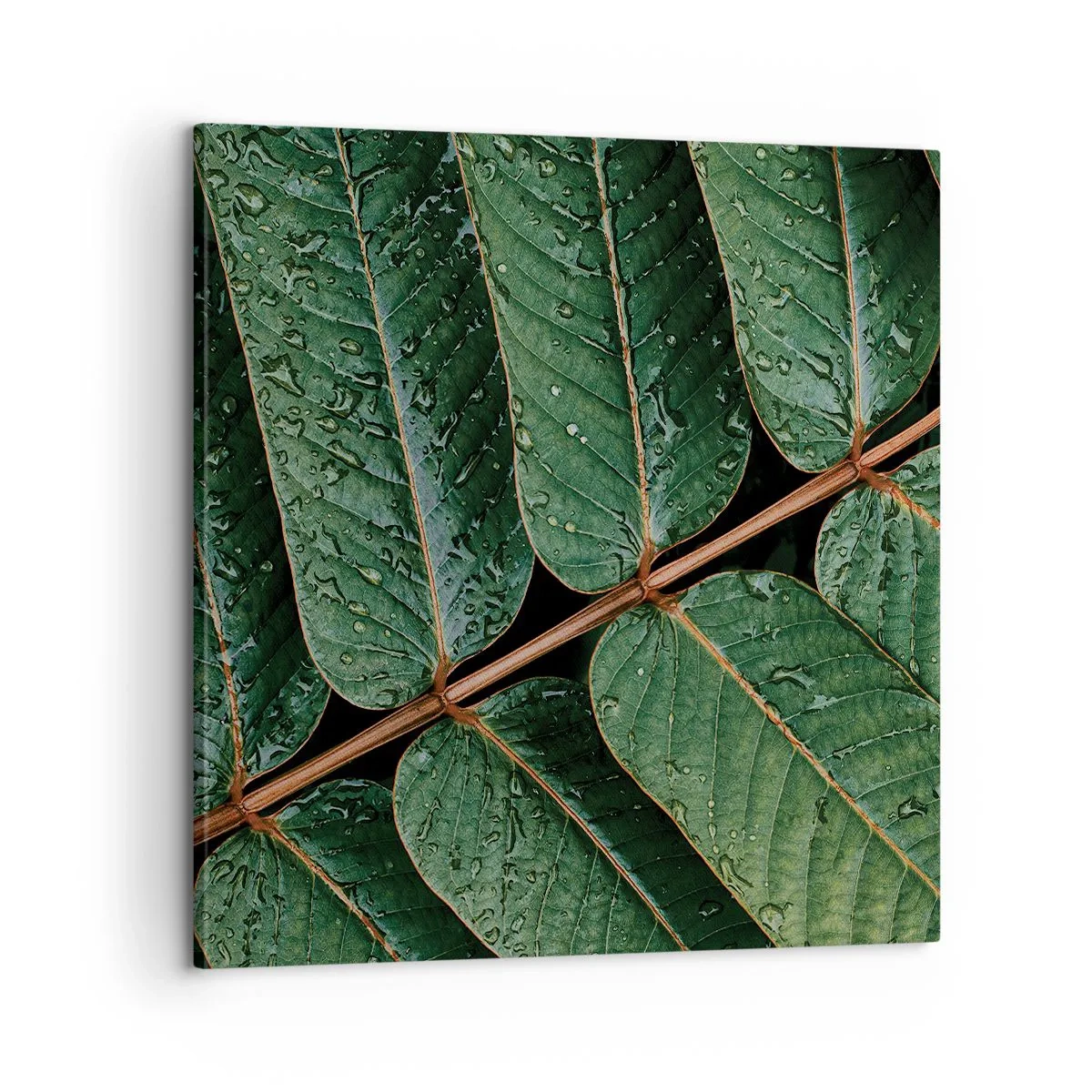 Lærredstryk - Billede på lærred - I en grøn rytme - 60x60 cm