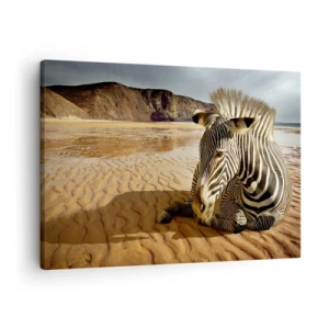 Lærredstryk - Billede på lærred - En zebra hviler på en sandstrand med klipper i baggrunden. - 70x50cm - Vi passer sammen - Moderne vægdekoration til stue og soveværelse ARTTOR