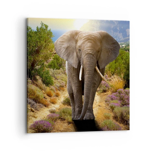 Lærredstryk - Billede på lærred - Sådan så Eden ud - 70x70 cm
