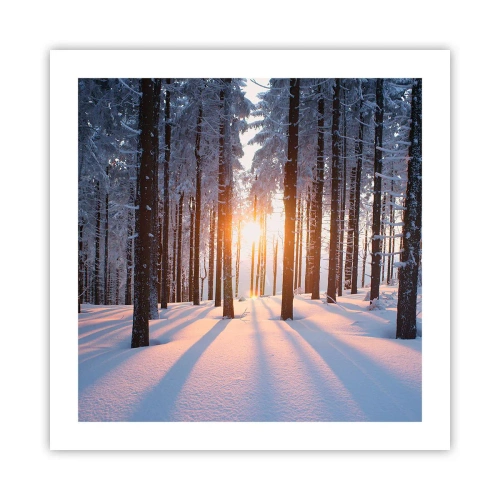 Plakat - Klart i sort og hvidt - 50x50 cm