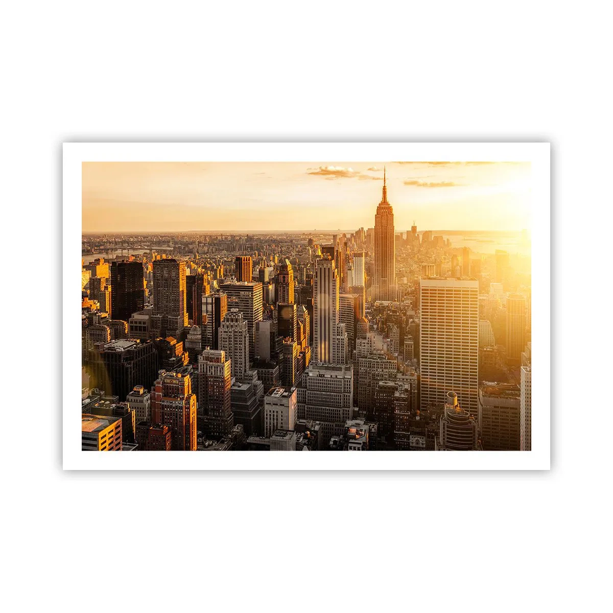 Plakat - At vokse i solen - 91x61 cm