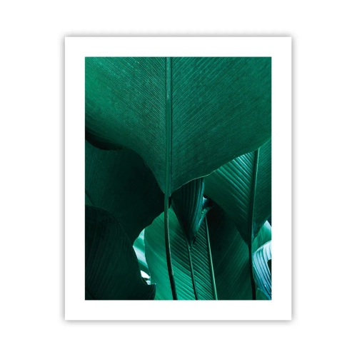 Plakat - Mod lyset - 40x50 cm