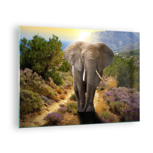 Billede på glas - En elefant mod et bjerglandskab ved solnedgang - 70x50cm - Sådan så Eden ud - Moderne vægdekoration til stue og soveværelse ARTTOR
