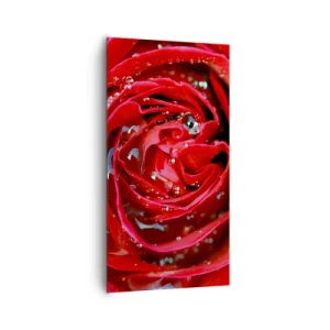 Lærredstryk - Billede på lærred - I dråber af dug - 65x120 cm