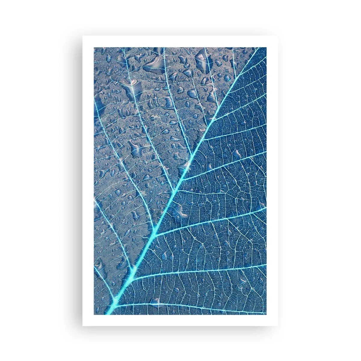 Plakat - Livet i det blå - 61x91 cm