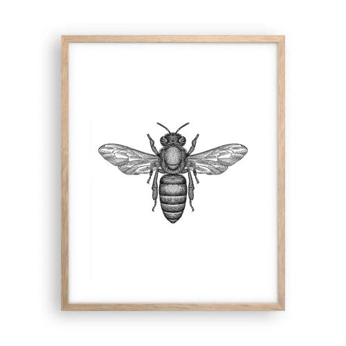 Plakat i ramme af lyst egetræ - Portræt af et insekt - 40x50 cm
