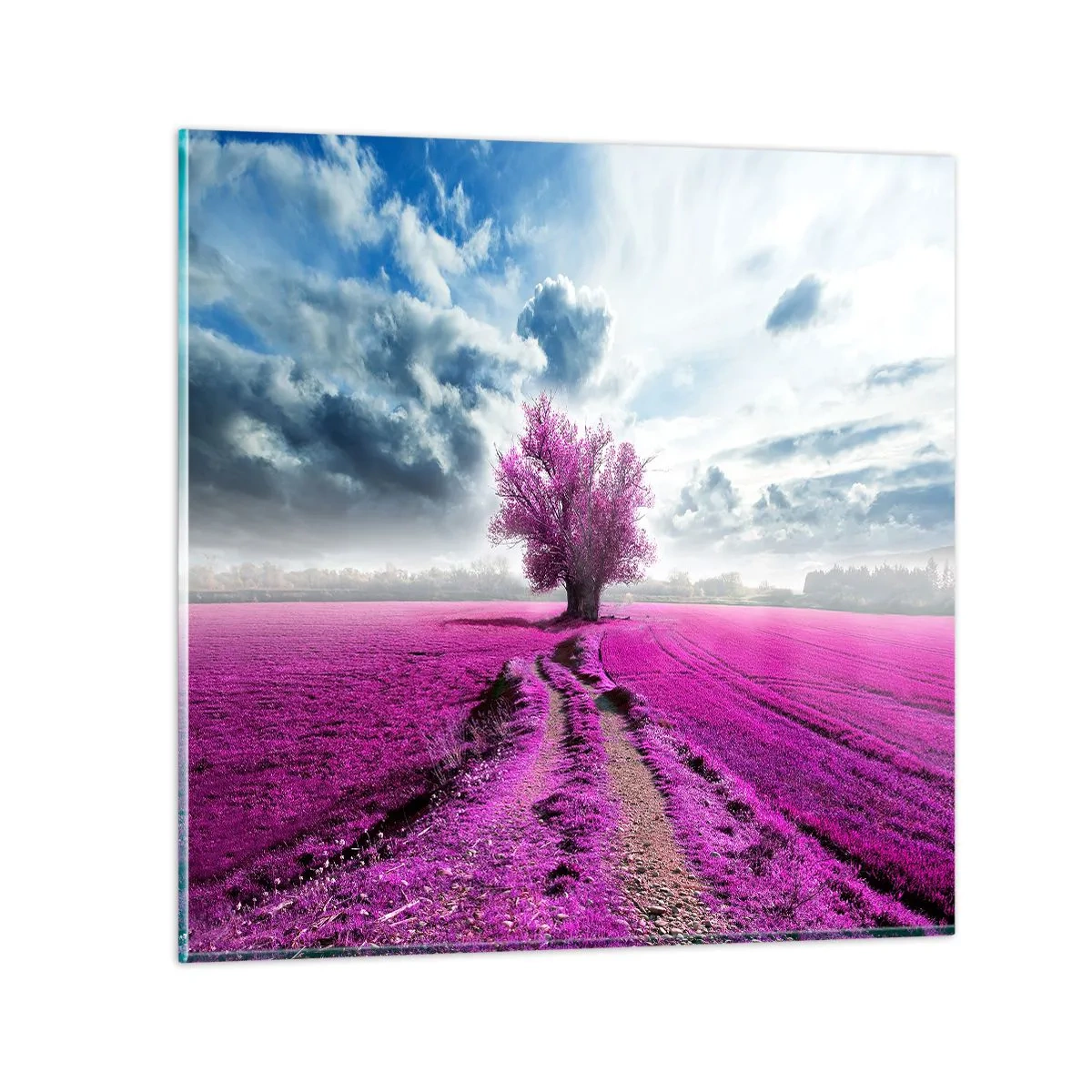 Billede på glas - Hedeslette - charmerende - 60x60 cm