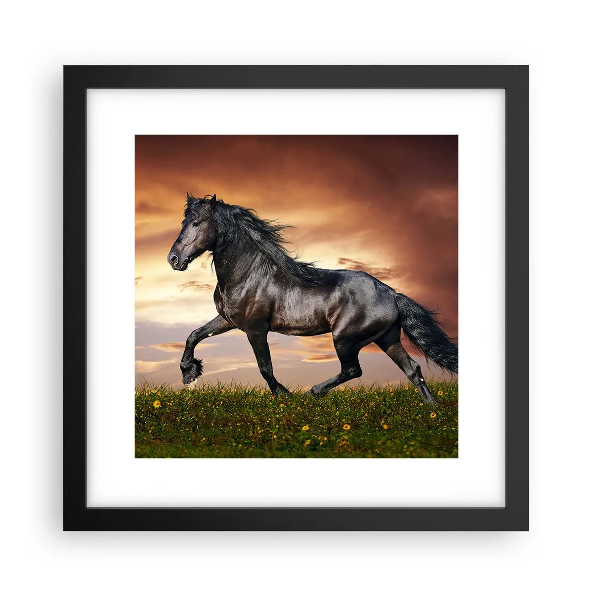 Plakat i sort ramme - Sort prins - 30x30 cm