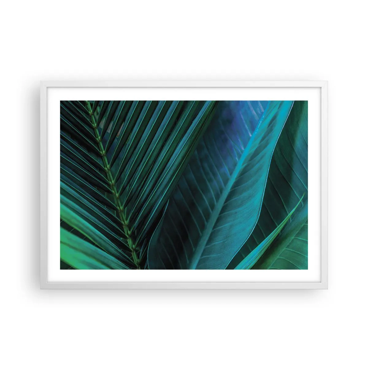 Plakat i hvid ramme - Anatomi af en grøn - 70x50 cm