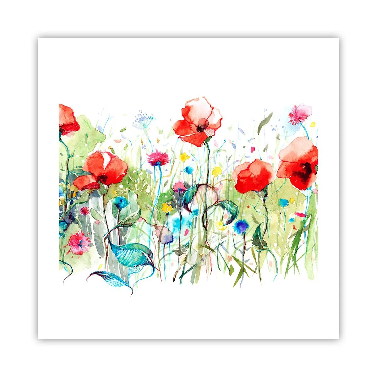 Plakat - En blomstrende eng i maj - 50x50 cm