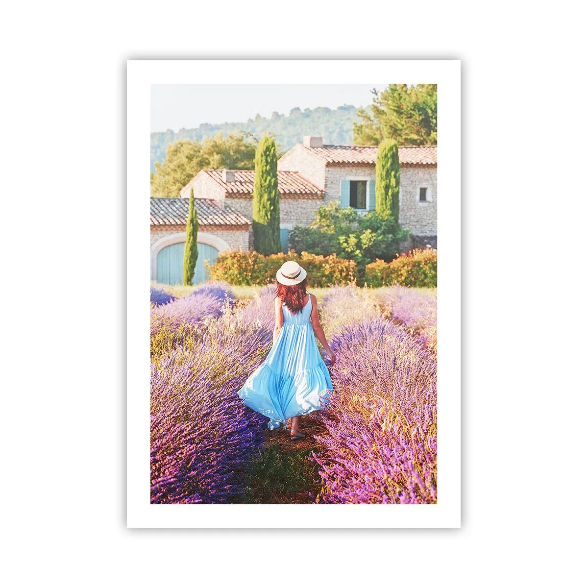 Plakat - Lavendel pige - 50x70 cm