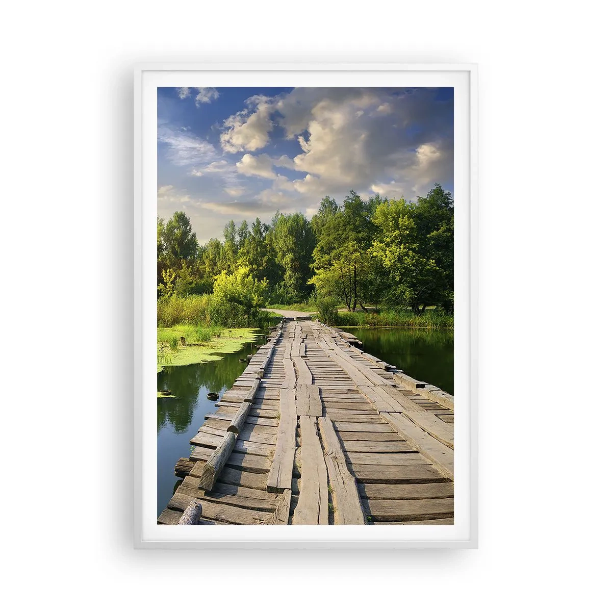 Plakat i hvid ramme - Sommer, sommer overalt - 70x100 cm
