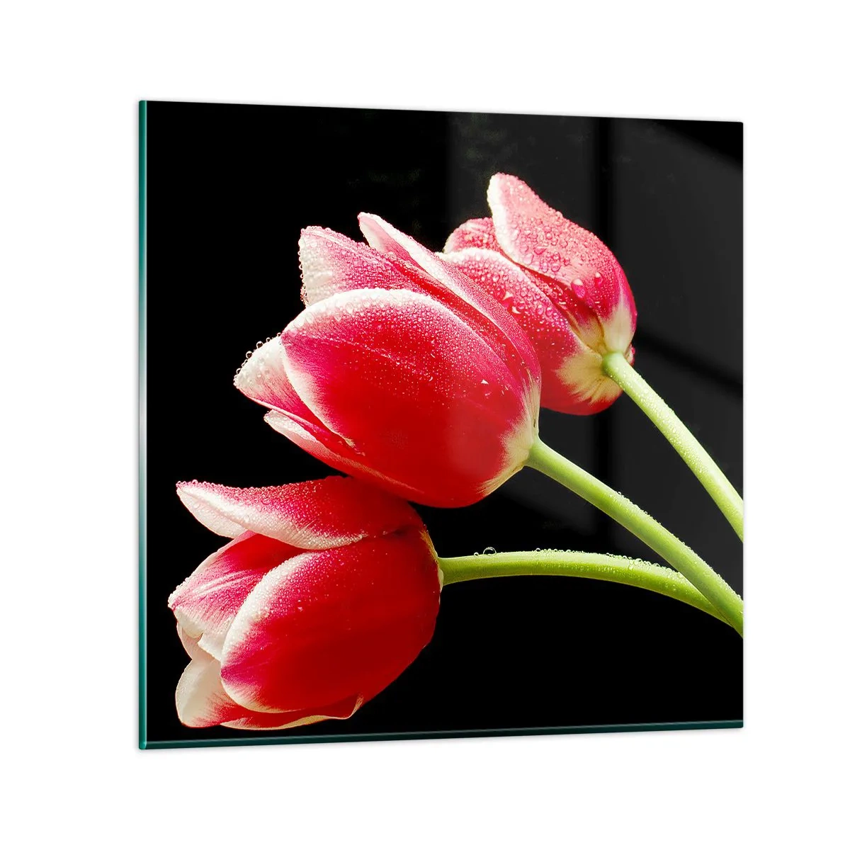 Billede på glas - Løftet om ren kærlighed - 50x50 cm